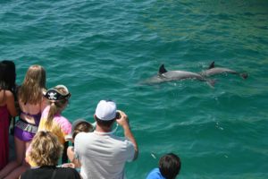 The Sea Dragon Pirate Cruise in Panama City Beach, Florida